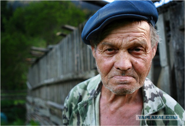 Про крысу.