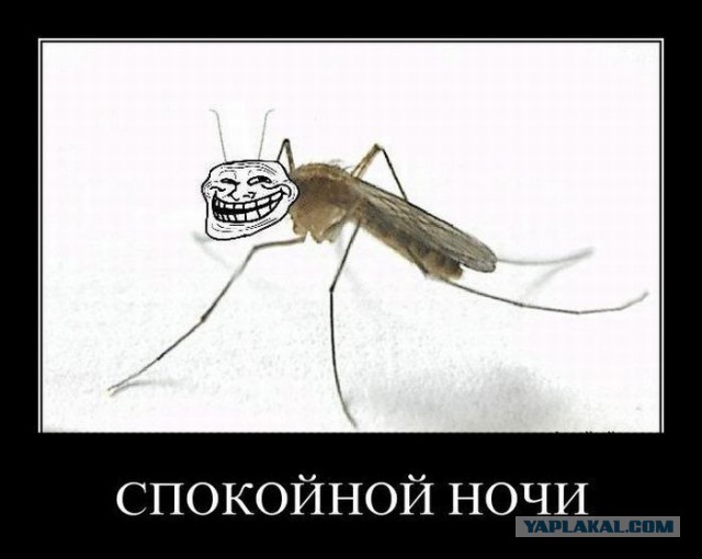 Весёлое из сети