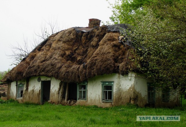 Дом из соломы по современному