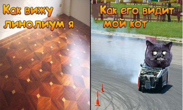 Автоприколы-7