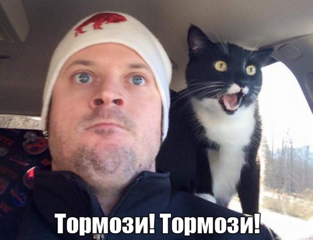 Прикольные картинки