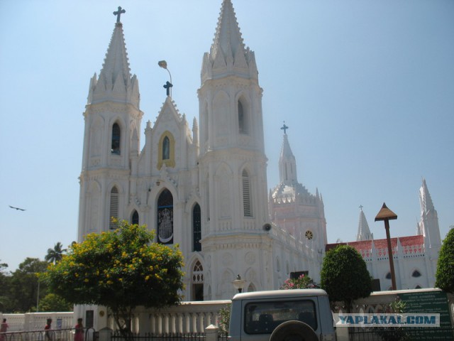 Такое увидишь только в Индии