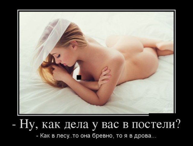 Небольшая подборка демотиваторов