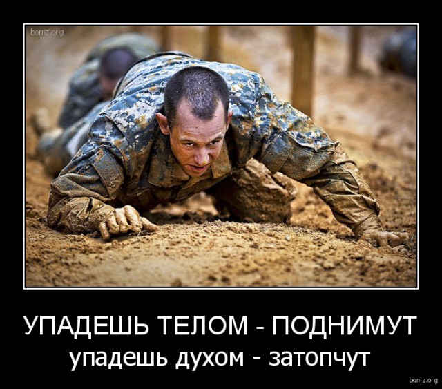 Картинки для поднятия настроения - 4