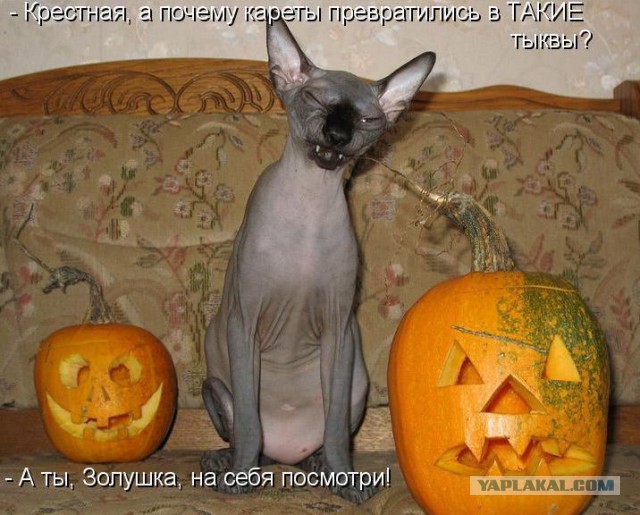 Подборка "баянов" со всего интернета