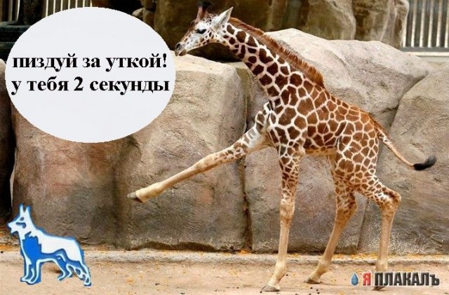 Эй, ты! А ну вон отсюда!