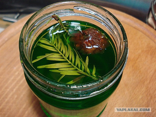 Кухня (кулинарное и околокулинарное общение)