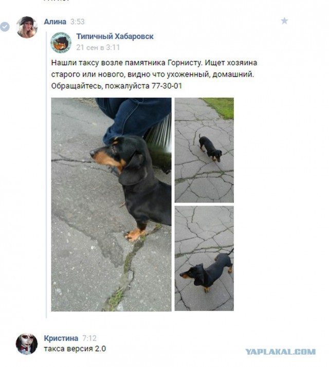 Живодерки из Хабаровска