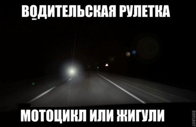 Подборка безудержного веселья