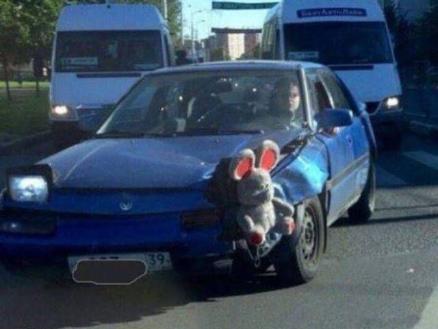 Смешные картинки