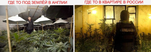 Необычная находка в старом британском бомбоубежище
