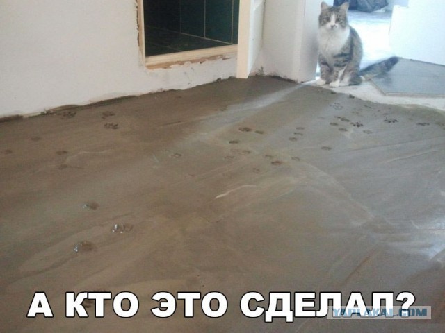 Картинки всякие для поднятия настроения