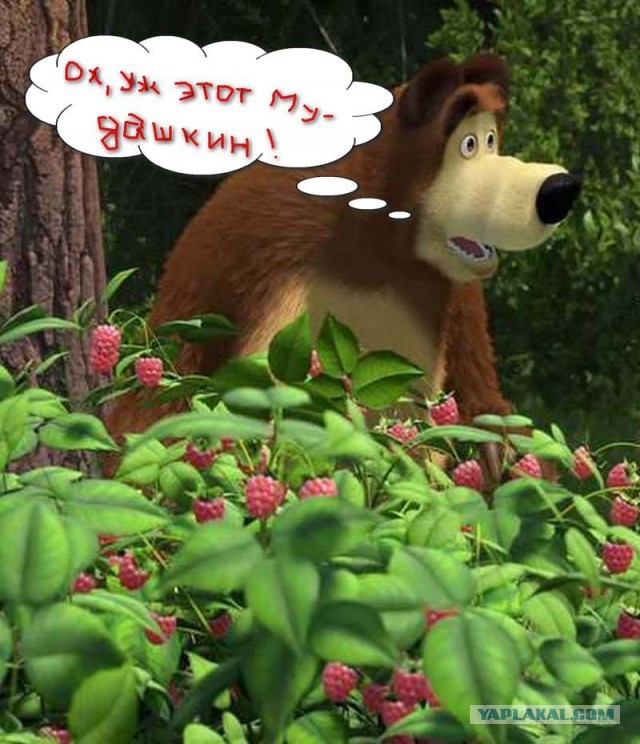 Домашний Юдашкин