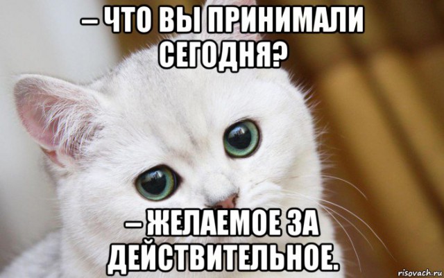 В Армии обороны Израиля расследуют видео, как снайпер стреляет в палестинца