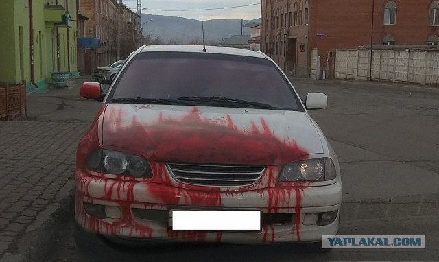 Подборка интересных и веселых картинок