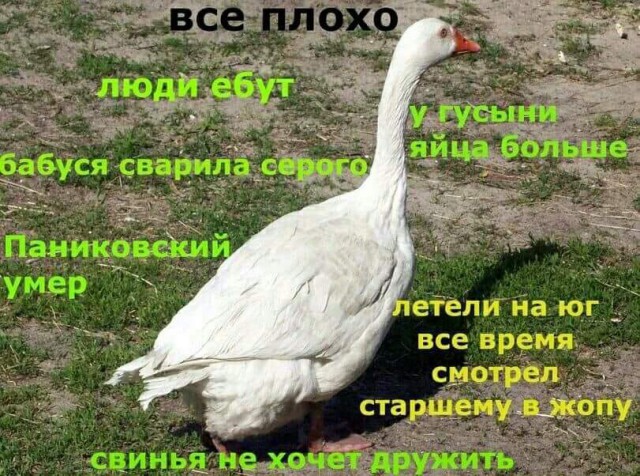 Немного странного юмора на вечер
