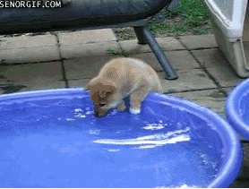 Искупнуться, что ли?