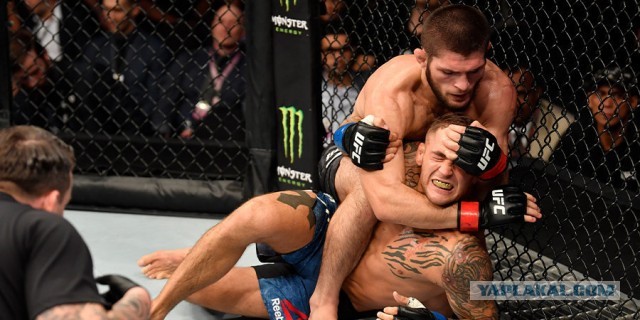 “Русские богатыри” на UFC
