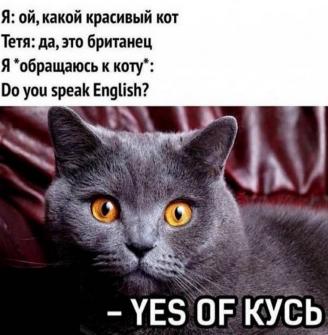 Аморалка