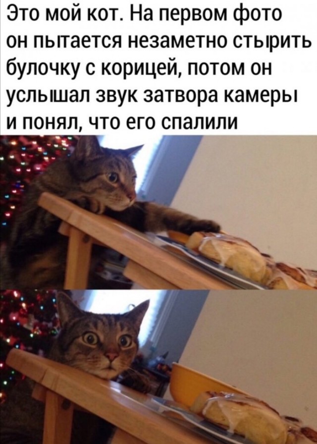 Немного картинок для настроения 29.03.20