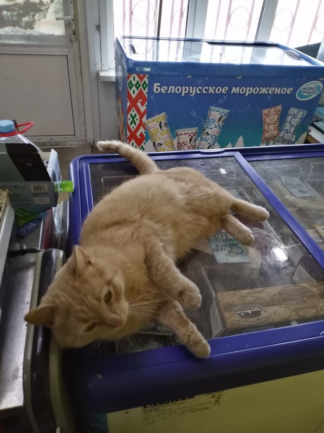 Зверушки