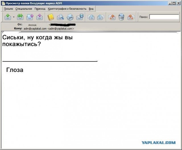 Почему меня забанили на ЯПлакалъ?