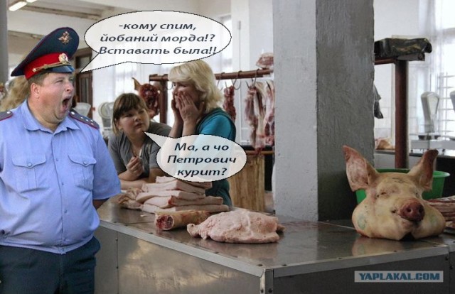 ФОТОЖАБА: Мясной рынок