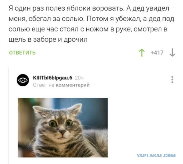 Бредзона 09.09.2020