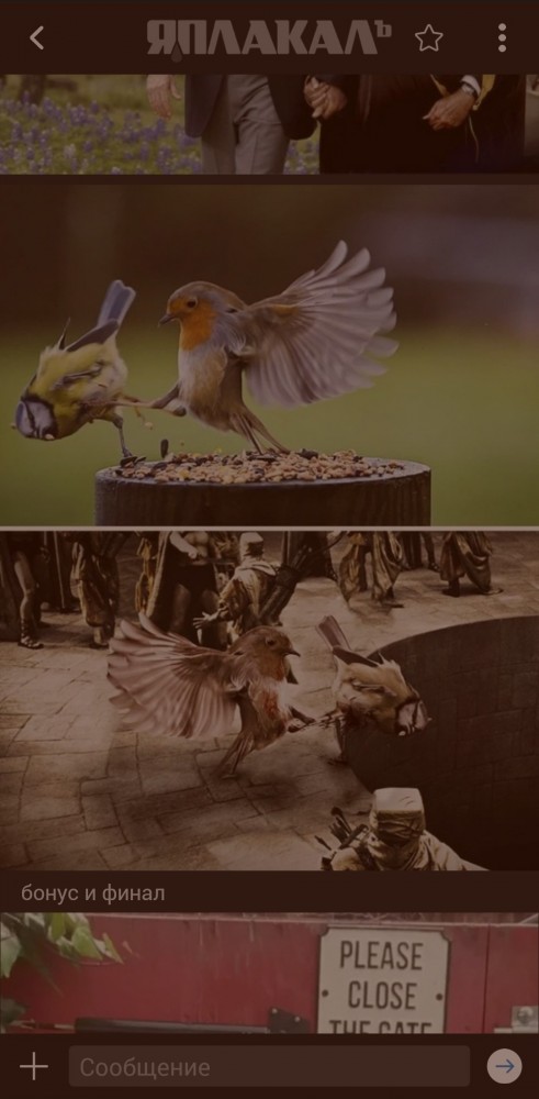 Фотошоп