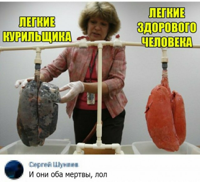 Кретинизмы из сети 11.01.2021