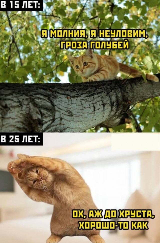 Кретинизмы из сети Night Edition 9.02.21