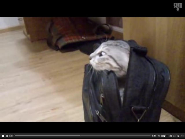 Странная сумка...