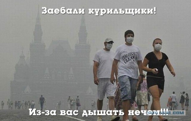 В России дело Табак!