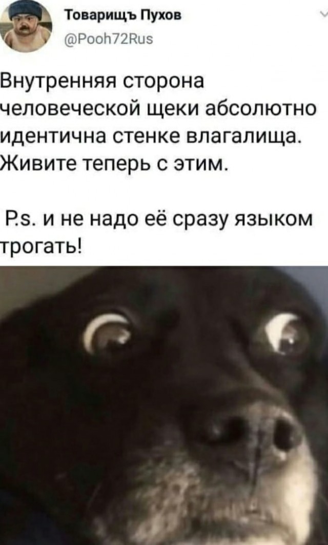 Немного картинок разной степени новизны и адекватности - 7