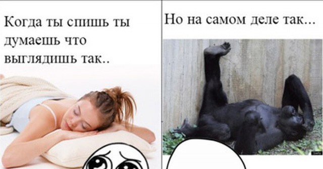 Мемы смешные до слез угар ржака