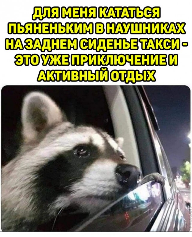 Весёлый полтишок 31.07