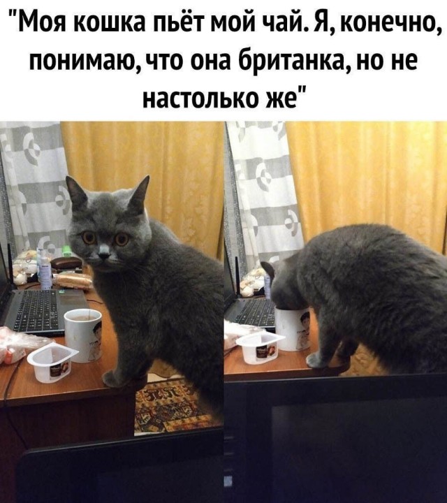 Так себе картинки 03.08.21
