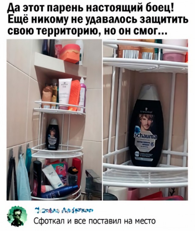 Весёлый полтишок 10.08