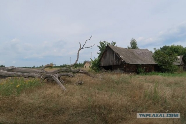 Заброшенные деревни. Уникальная деревня посреди болот