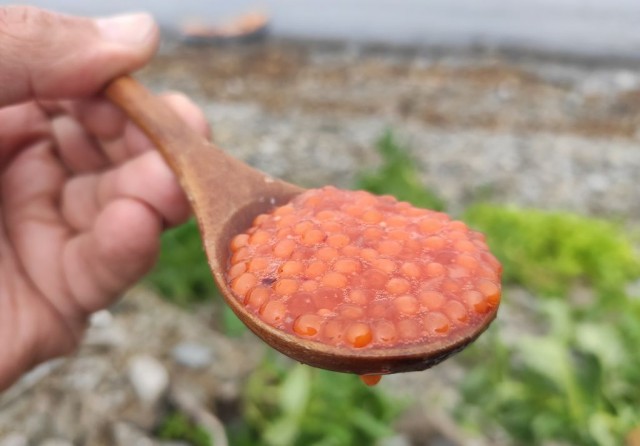 На краю света
