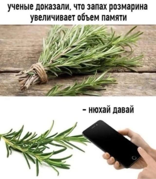 Юмор и прикольные картинки 11.11.2021