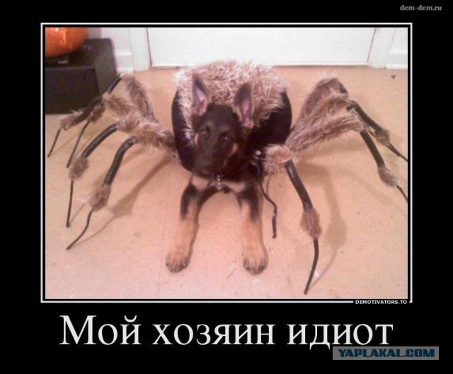 ТруЪ демотиваторы