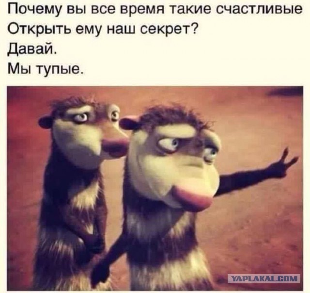 Самый главный прорыв за последние годы?