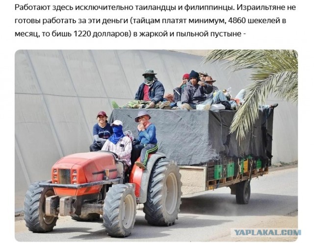 Власти Израиля планируют заставить ультраортодоксальных евреев работать