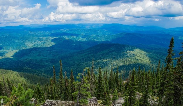 В Госдуме попросят Путина создать новое министерство. «Без этого с коррупцией не справимся»