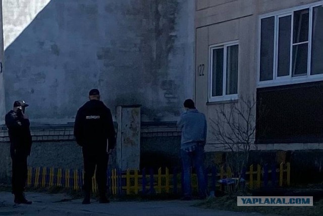 Сотрудники МВД привлекли бригаду монтажников, чтобы разобрать жёлто-синюю крышу дома в Балашихе