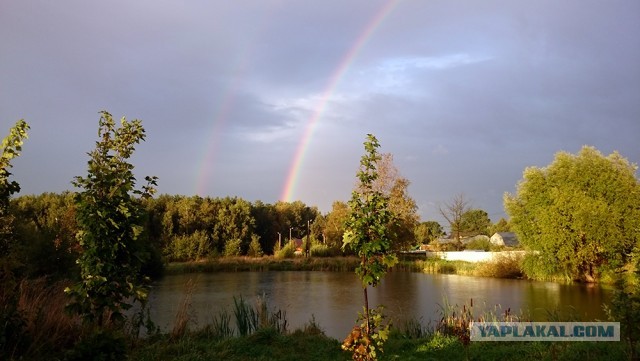 Тайна воды