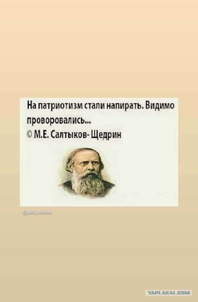 Пригожин попросил проверить губернатора Петербурга по статье о госизмене.