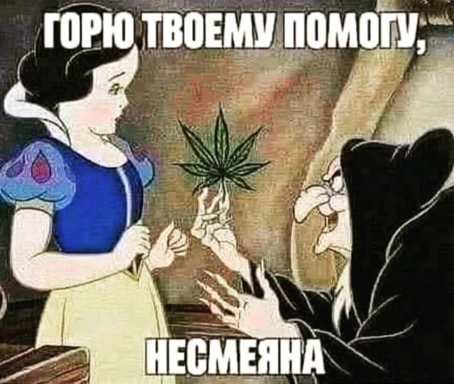 Так себе картинки 07.12.22