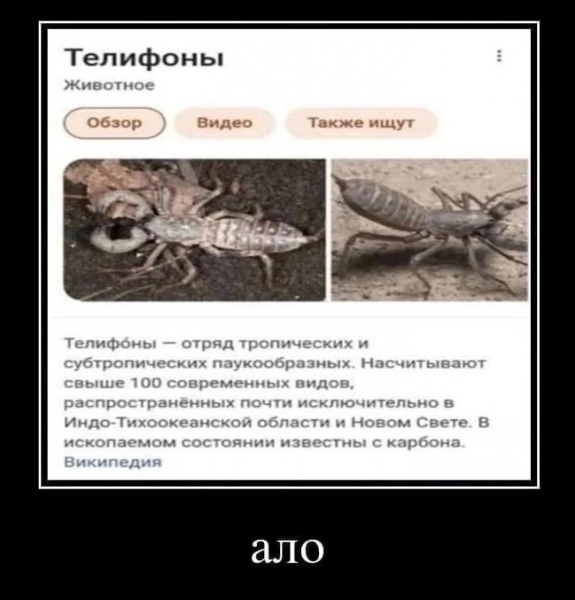 Картинки и мемы. Выходные близко...